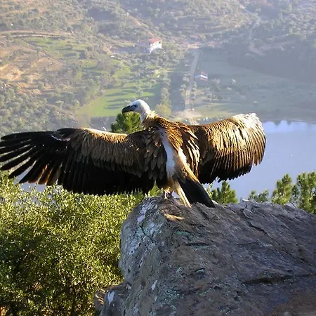 Country house Quinta Arribas